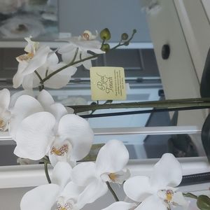 Meet your Posher, Anh-anna